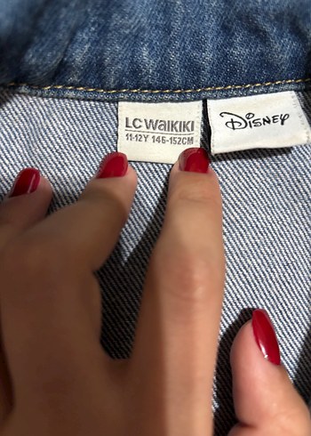 LC Waikiki Nakışlı Düğmeli Mavi Denim Ceket LCW
