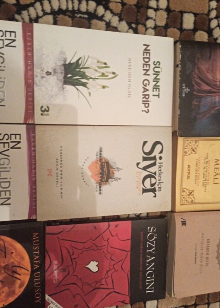 cesitli kitaplar - Görsel 4