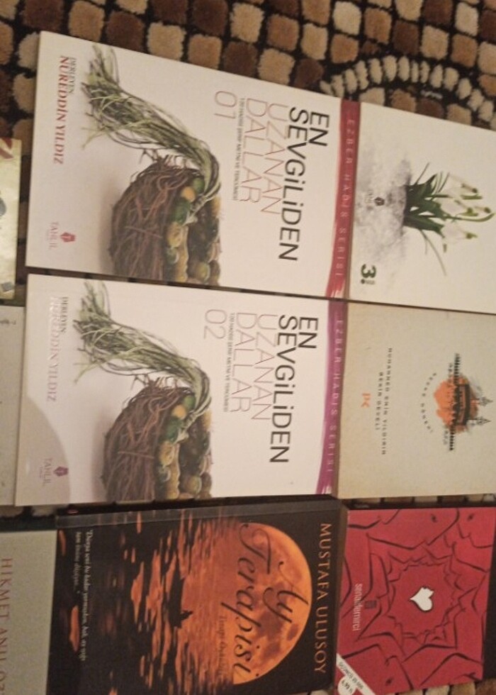 cesitli kitaplar - Görsel 5