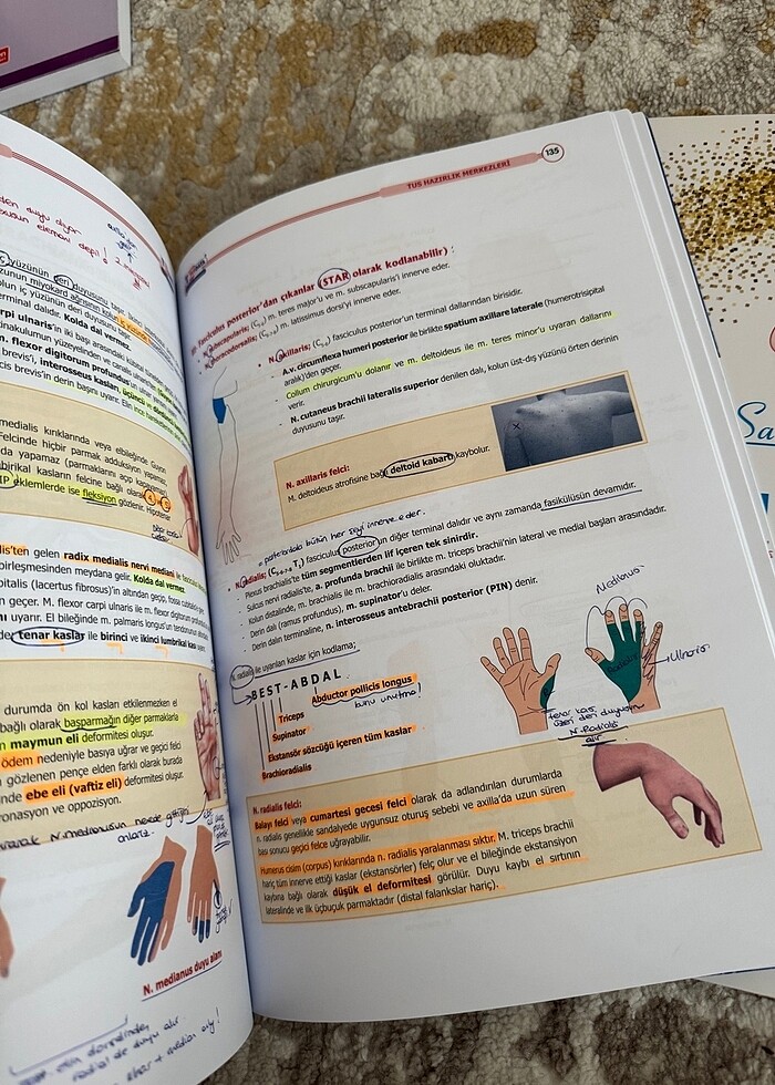 Anatomi Şampiyonların Notu - Görsel 3