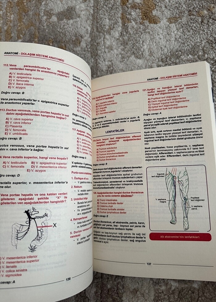 Meditus Anatomi Soruları - Görsel 2