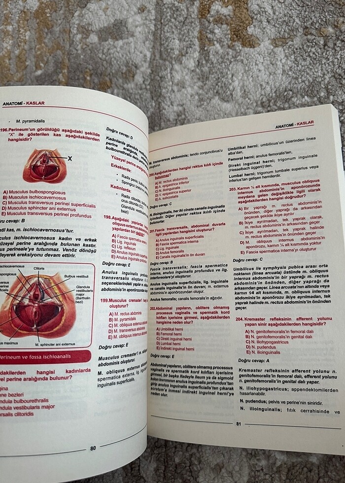 Meditus Anatomi Soruları - Görsel 3