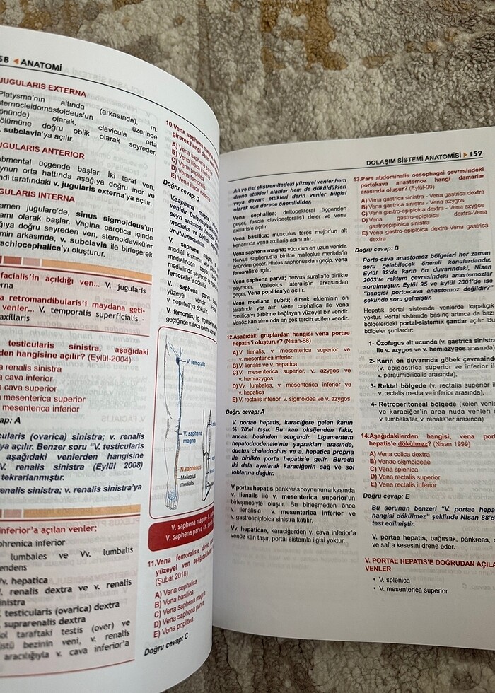 Prospektus Tüm Tus Soruları - Anatomi - Görsel 2