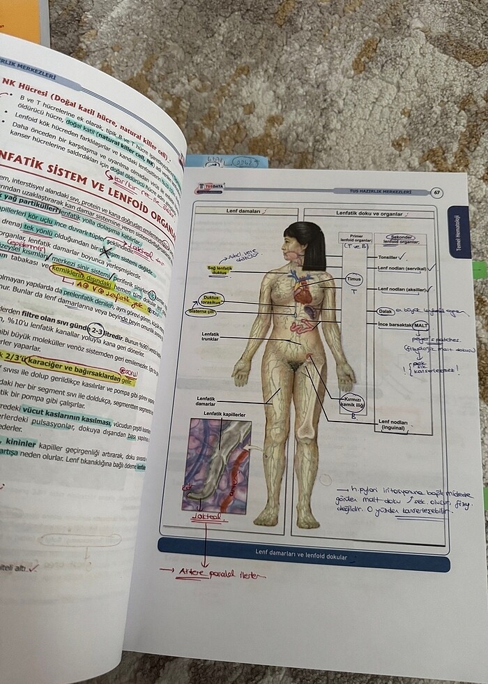 Entegre Konu Kitabı Tusdata - Görsel 2
