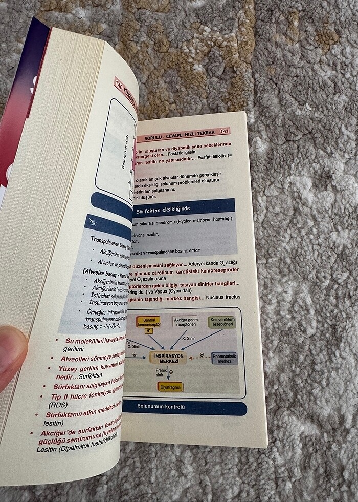 Optimum Fizyoloji Cep Kitabı - Görsel 2