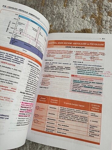 Prospektus Tüm Tus Soruları - Fizyoloji Histoloji ve Embriyoloji - Görsel 2