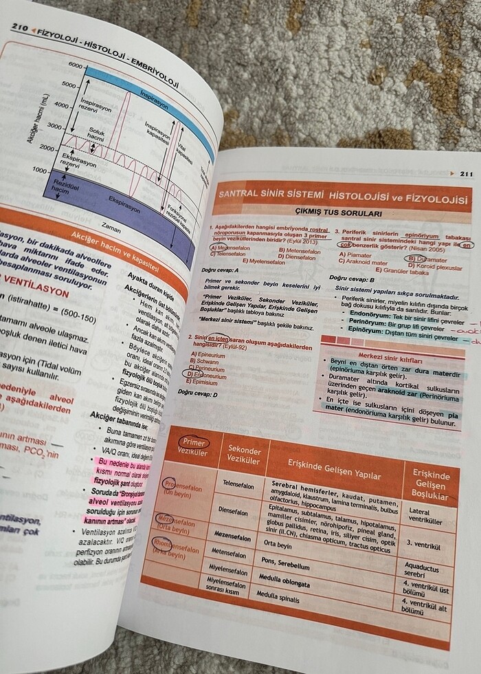 Prospektus Tüm Tus Soruları - Fizyoloji Histoloji ve Embriyoloji - Görsel 2
