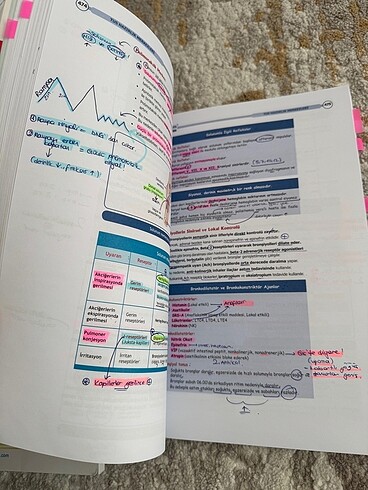 Fizyoloji ve Histoloji Şampiyonların Notu - Görsel 3