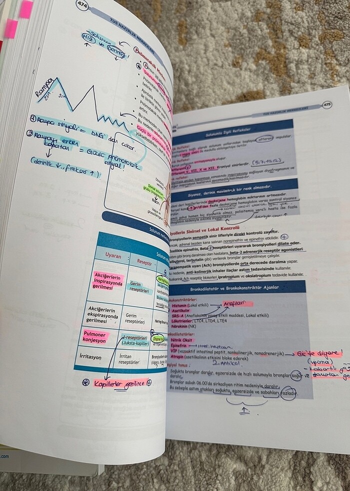 Fizyoloji ve Histoloji Şampiyonların Notu - Görsel 3