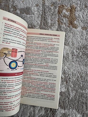 Optimum Biyokimya Özet Kitap - Görsel 2