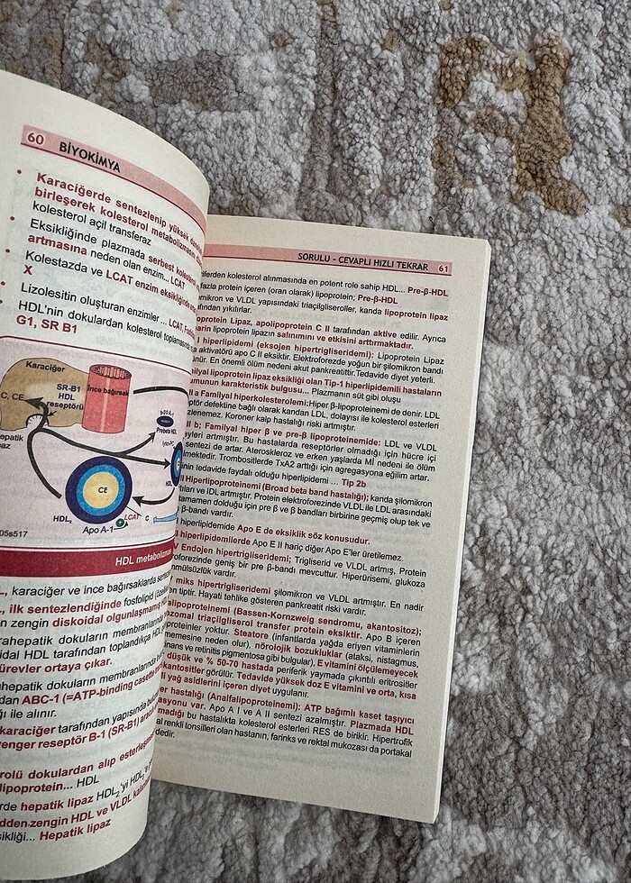 Optimum Biyokimya Özet Kitap - Görsel 2