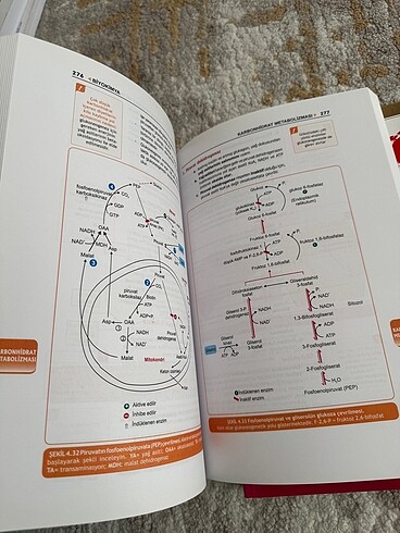Biyokimya Prospektus Konu+Soru Kitabı - Görsel 2