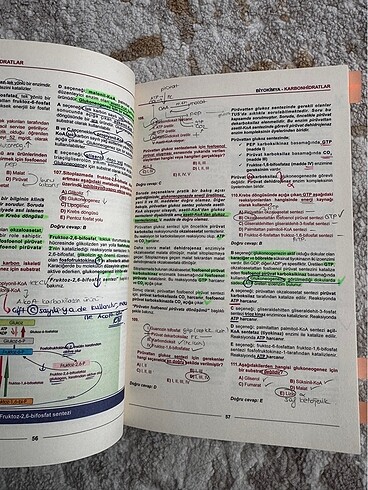 Meditus Biyokimya Soruları - Görsel 2