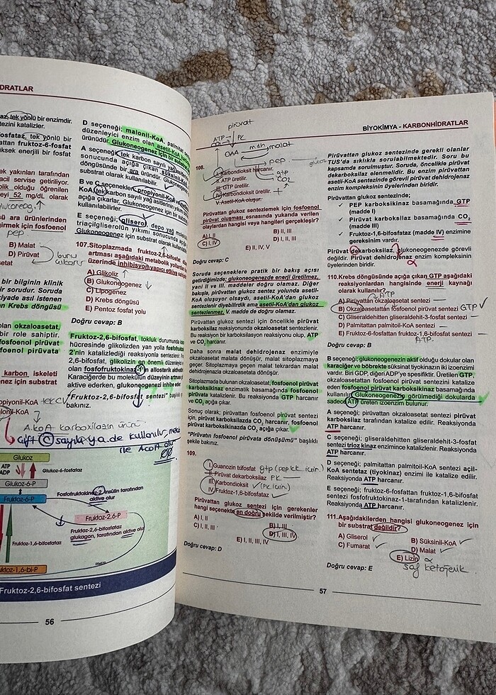 Meditus Biyokimya Soruları - Görsel 2