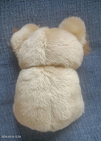 Diğer Oyuncak Koala