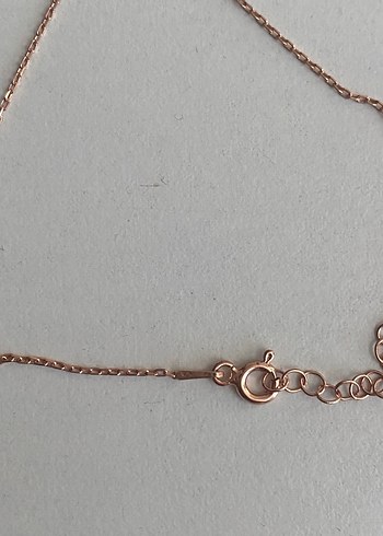 Diğer Gümüş rosegold takıseti