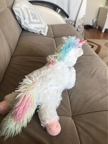 Beden Talış kedi uyku arkadaşı