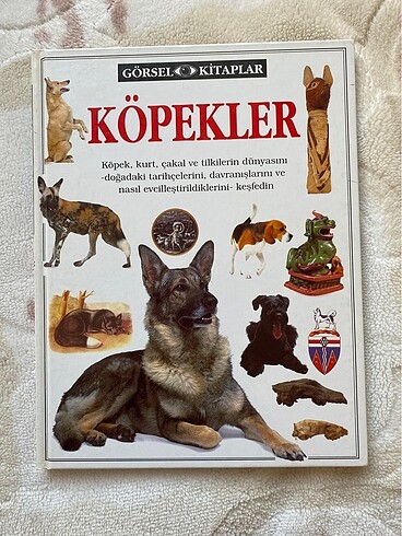 Köpekler dorling kindersley kitap