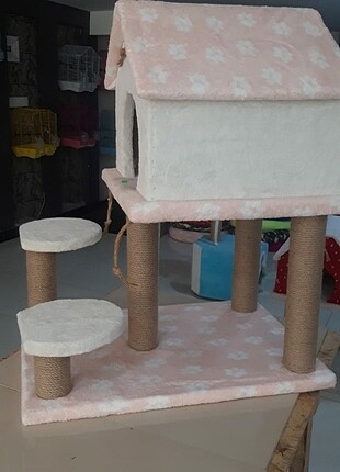 Kedi evi