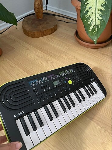 Casio Org