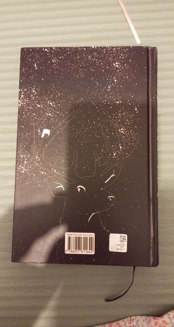 Beyza Alkoç - Kar Küresi Roman - Görsel 5