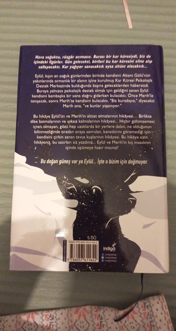 Beyza Alkoç - Kar Küresi Roman - Görsel 3