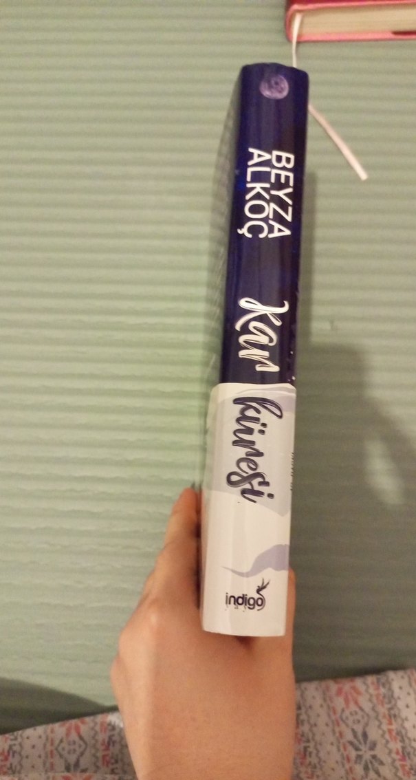 Beyza Alkoç - Kar Küresi Roman - Görsel 2