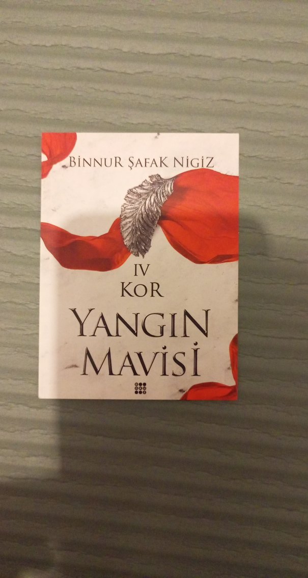 Yangın Mavisi - Binnur Şafak Nigiz - Görsel 4