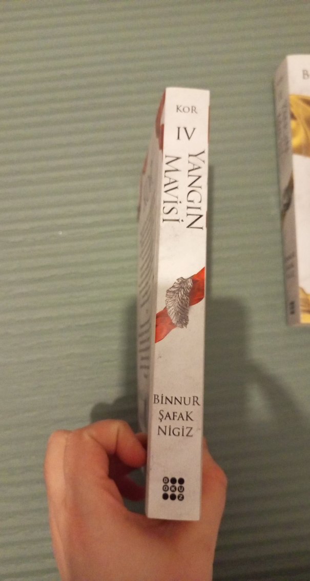 Yangın Mavisi - Binnur Şafak Nigiz - Görsel 2