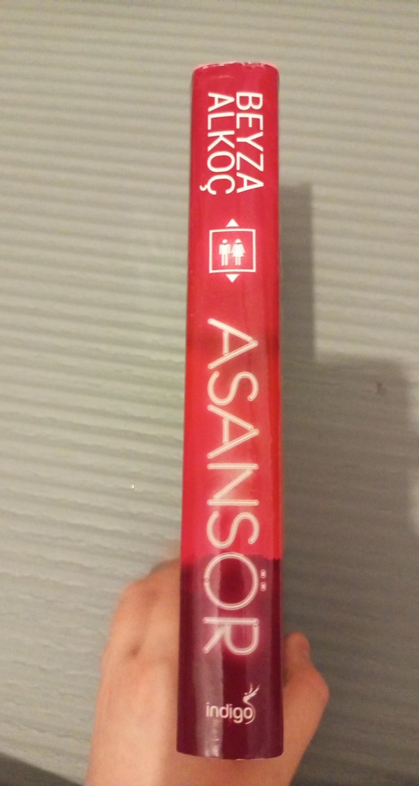 Asansör - Beyza Alkoç - Görsel 2