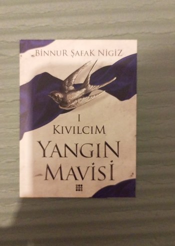 Kıvılcım Yangın Mavisi - Binnur Şafak Nigiz - Görsel 4