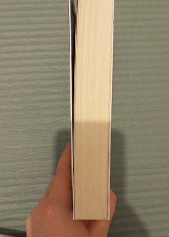 Kıvılcım Yangın Mavisi - Binnur Şafak Nigiz - Görsel 6