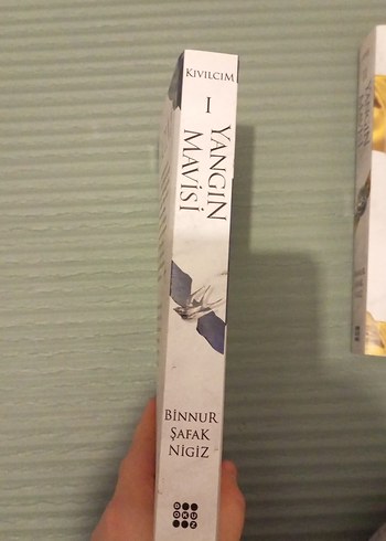 Kıvılcım Yangın Mavisi - Binnur Şafak Nigiz - Görsel 2