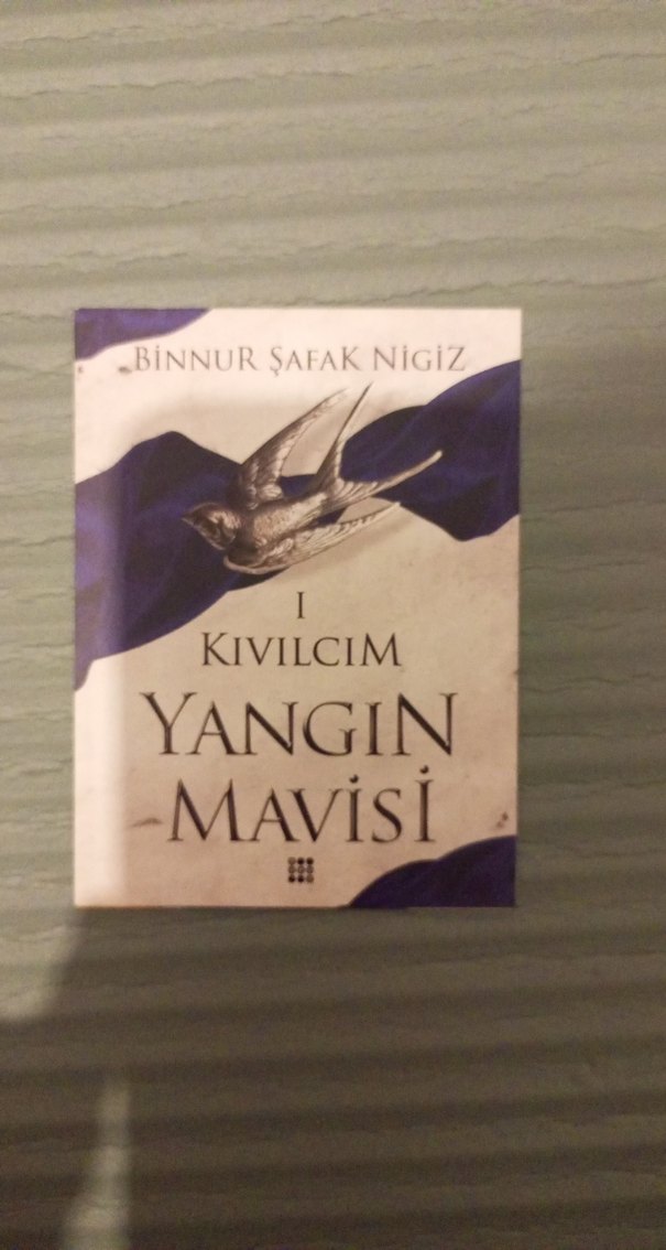 Kıvılcım Yangın Mavisi - Binnur Şafak Nigiz - Görsel 4