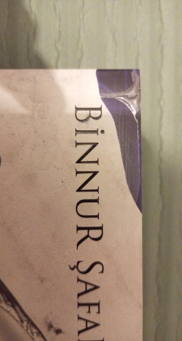 Kıvılcım Yangın Mavisi - Binnur Şafak Nigiz - Görsel 5