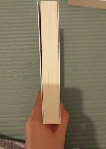 Yangın Mavisi - Binnur Şafak Nigiz - Görsel 7