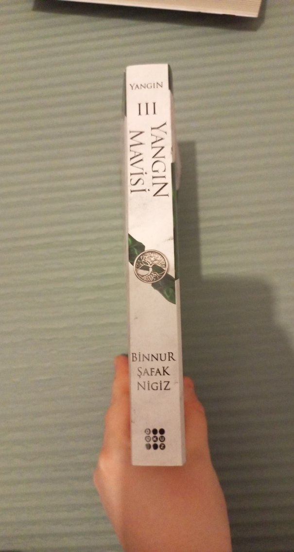 Yangın Mavisi - Binnur Şafak Nigiz - Görsel 2