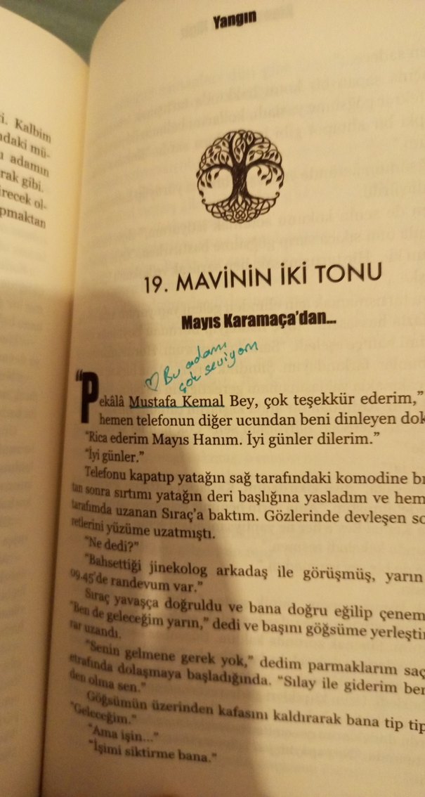 Yangın Mavisi - Binnur Şafak Nigiz - Görsel 4