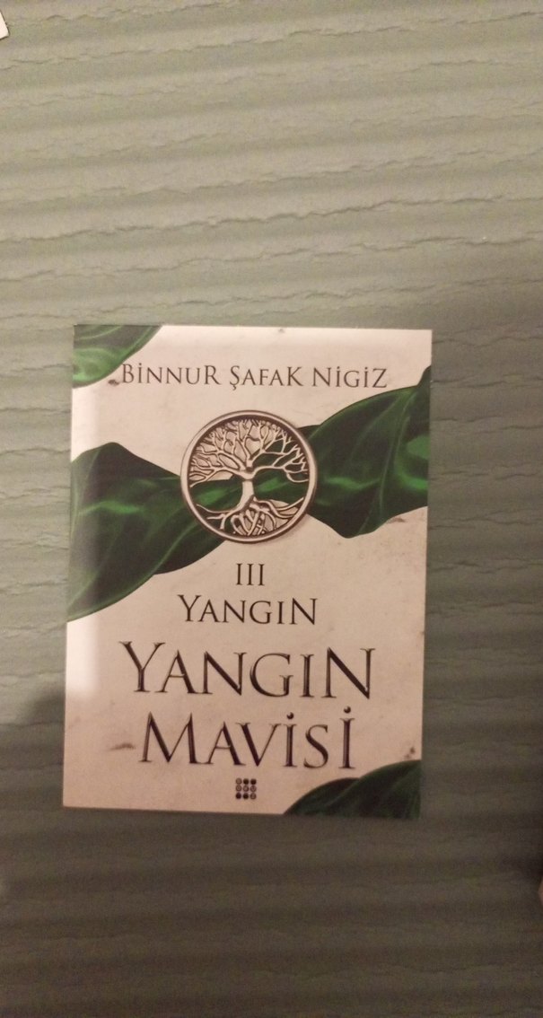 Yangın Mavisi - Binnur Şafak Nigiz - Görsel 5