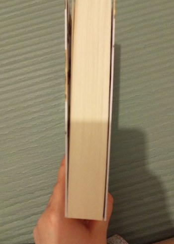 Ateş Yangın Mavisi - Binnur Şafak Nigiz - Görsel 5