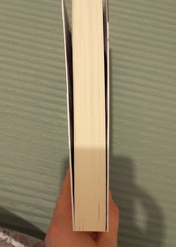 Yangın Mavisi - Binnur Şafak Niğiz - Görsel 5