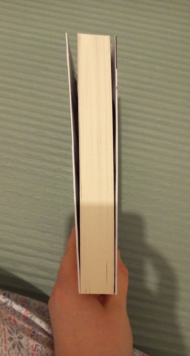 Yangın Mavisi - Binnur Şafak Niğiz - Görsel 5