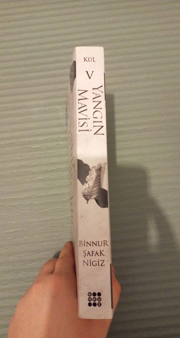 Yangın Mavisi - Binnur Şafak Niğiz - Görsel 2