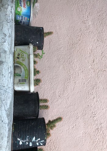 Pastel Tonlarda Çocuk Rafı - Haki Renk - Görsel 3