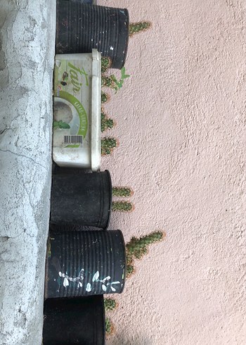 Pastel Tonlarda Çocuk Rafı - Haki Renk - Görsel 2