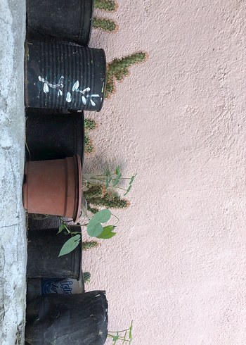 Pastel Tonlarda Çocuk Rafı - Haki Renk - Görsel 4