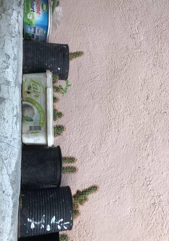 Pastel Tonlarda Çocuk Rafı - Haki Renk - Görsel 3