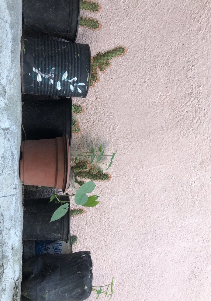 Pastel Tonlarda Çocuk Rafı - Haki Renk - Görsel 4