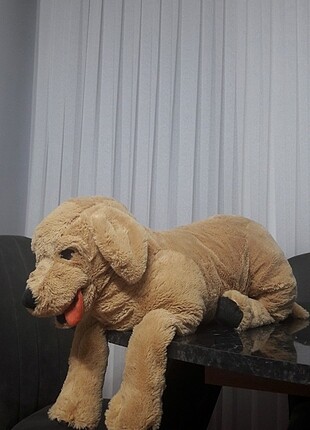 Peluş köpek