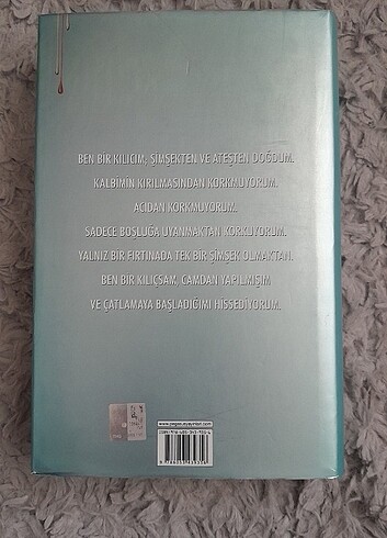 Beden Cam Kılıç - Kızıl Kraliçe Serisi - Pegasus Yayınları